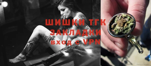 прущий лед Алзамай