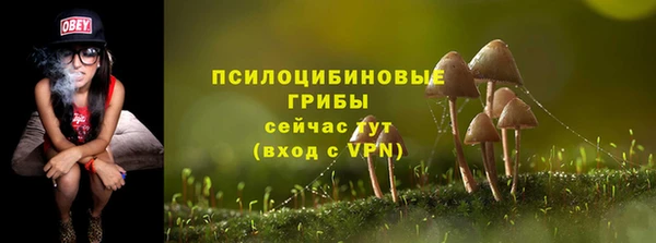 прущие крисы Алексеевка