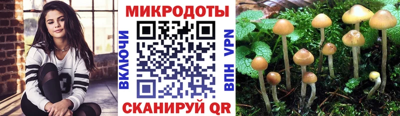 Псилоцибиновые грибы прущие грибы  Купить где  Среднеколымск 